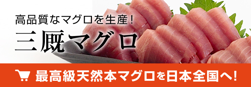 最高級天然本マグロを全国へ通信販売！！高品質なマグロを生産！三厩マグロ