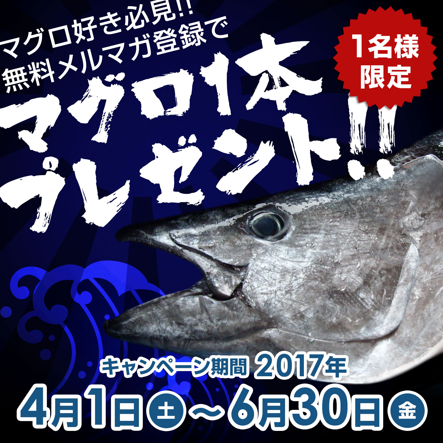 あおもり海山マグロまるまる1本プレゼント2016